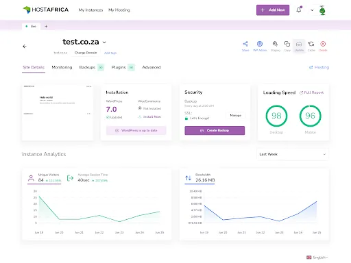alpha panel instance view