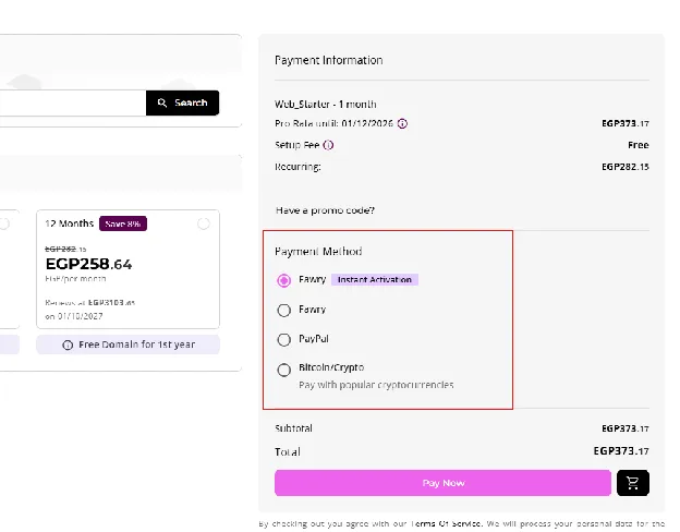 HostAfrica checkout for the Web Hosting Starter plan, showing the payment summary in Egyptian pounds and the payment method options