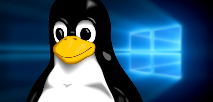 Difference between Windows and Linux cloud server