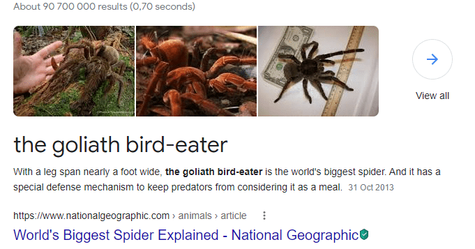 An example of a featured snippet showing the world's biggest spider