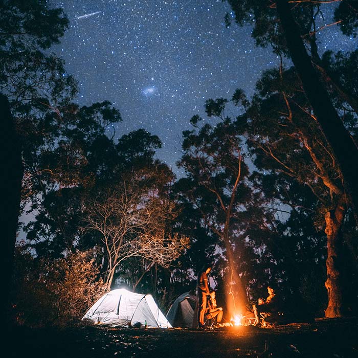 Tent between trees with a fire and view of the nightsky