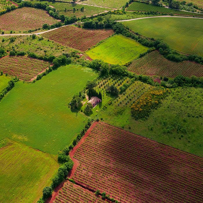 aerial view of farm land